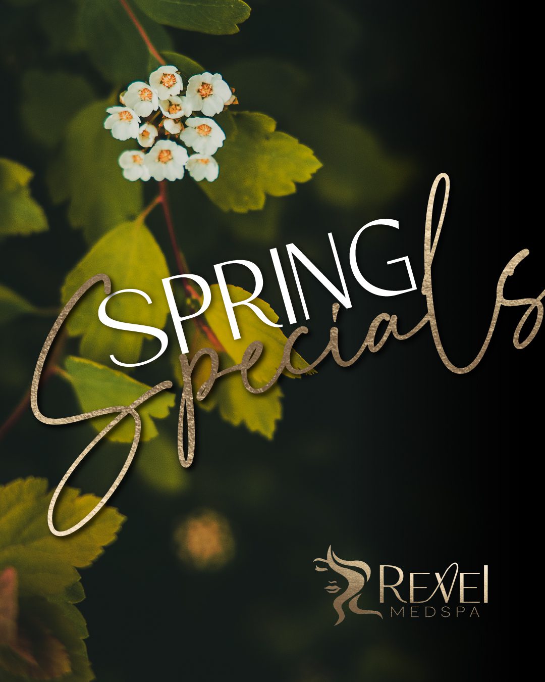 Spring Specials